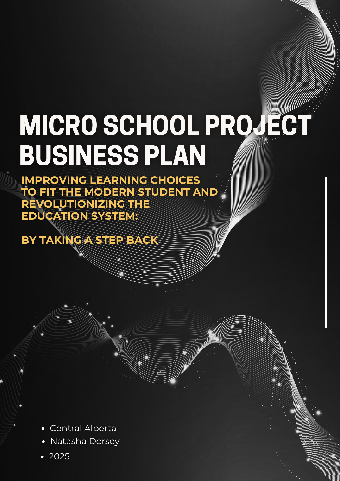 Micro School Strategy