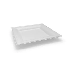 Sugarcane Square Plates