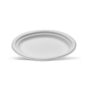 Sugarcane Oval Plate
