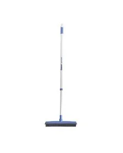 blue broom.jpg