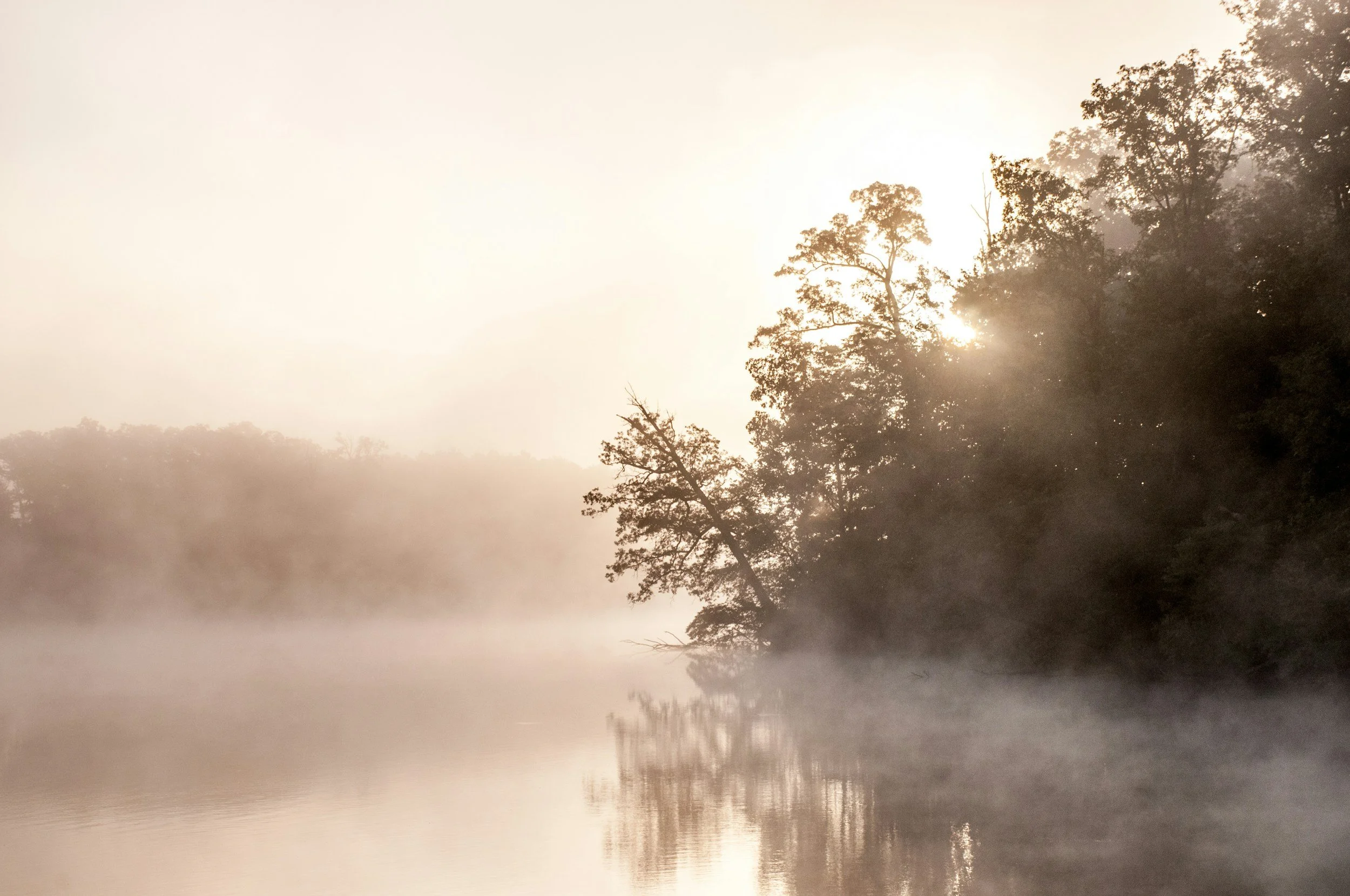 Morning mist over a calm river with trees on the bank, sunlight filtering through the foliage.