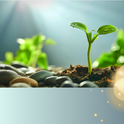 Elemental Blueprint Teen Session (👉🏽 For Skool members)