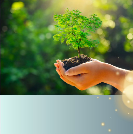 Elemental Blueprint Reading (👉🏽 For Parents)