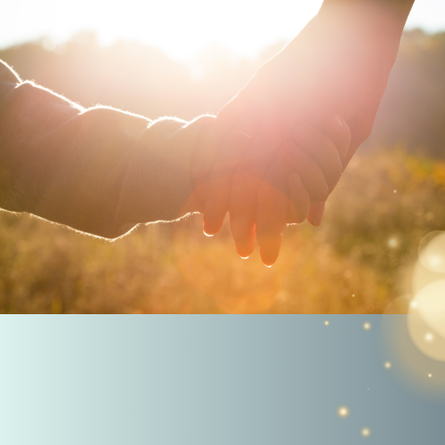 A child holding an adult's hand in a sunny meadow.