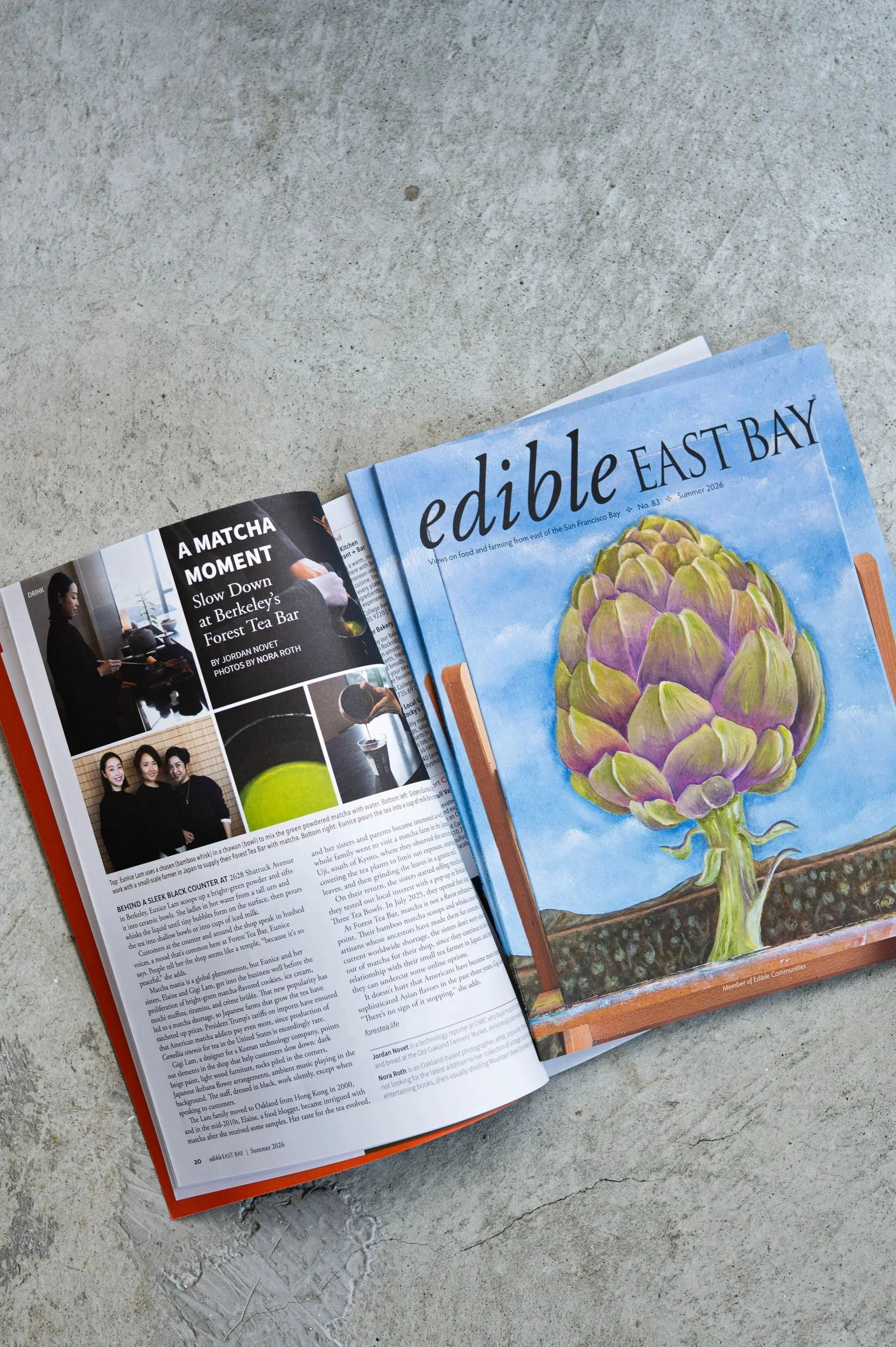 Open magazine and a book lying on a concrete surface. The book has a colorful illustration of an artichoke on its cover.