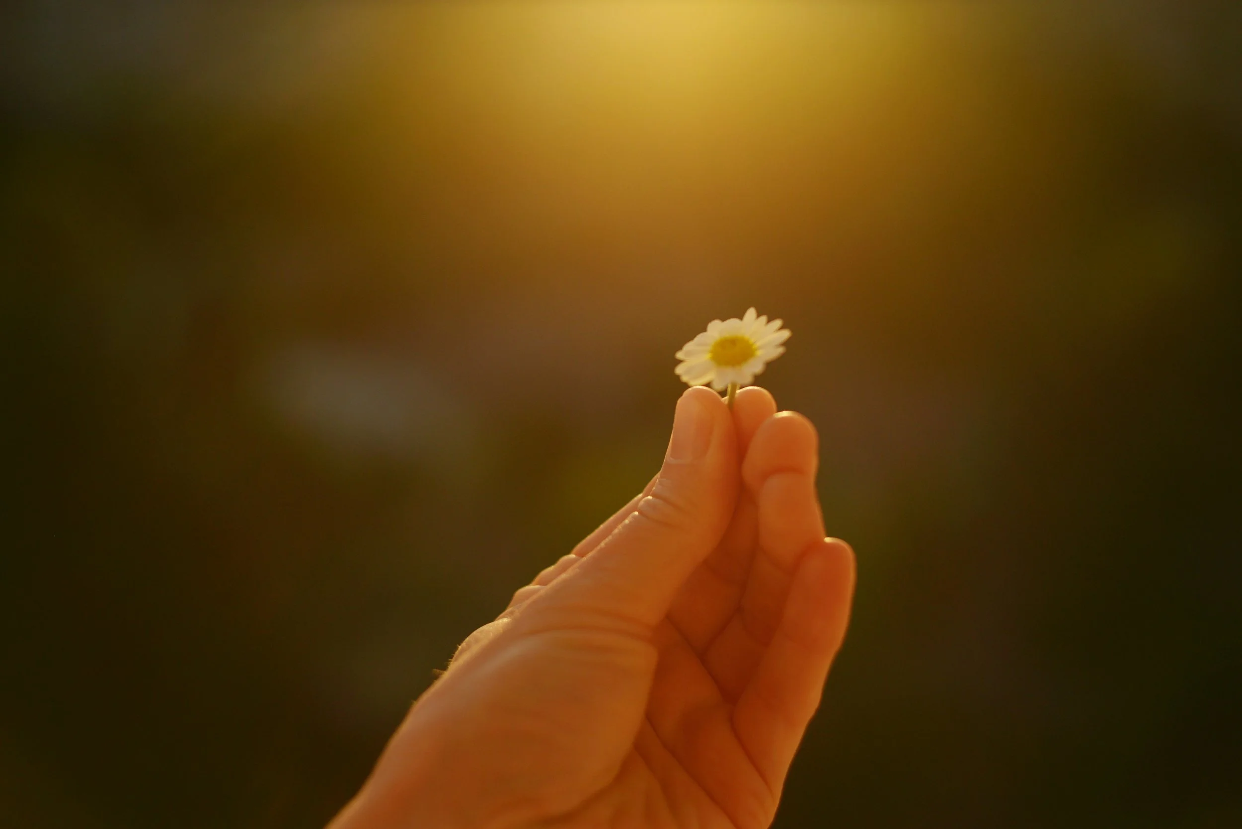 How to Set Boundaries Without Guilt~ Listening to What You Need