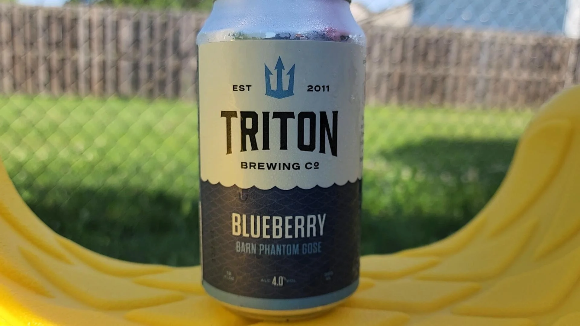 Blueberry – Barn Phantom Gose