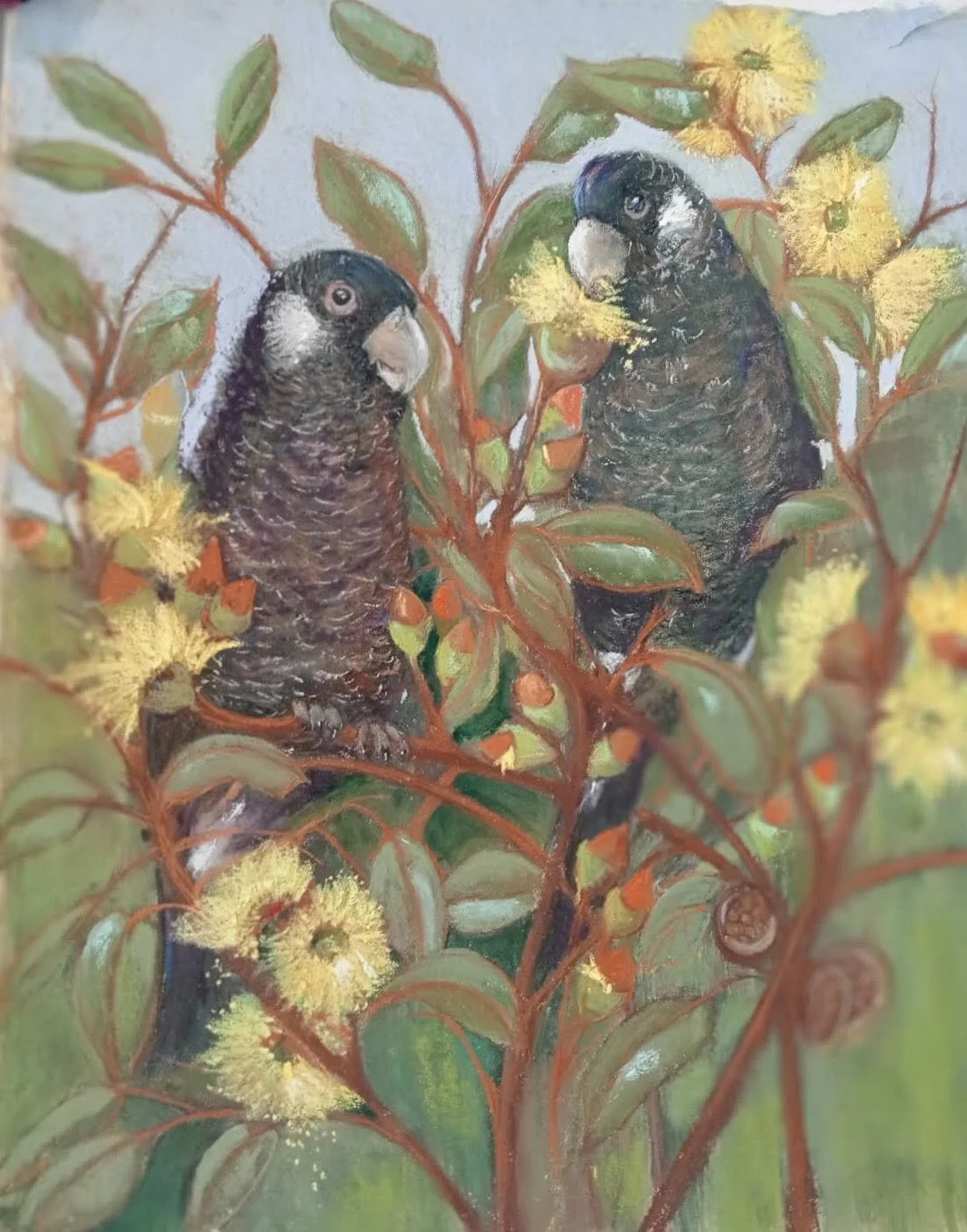 Painting of two black parrots with white faces surrounded by green leaves and yellow flowers.