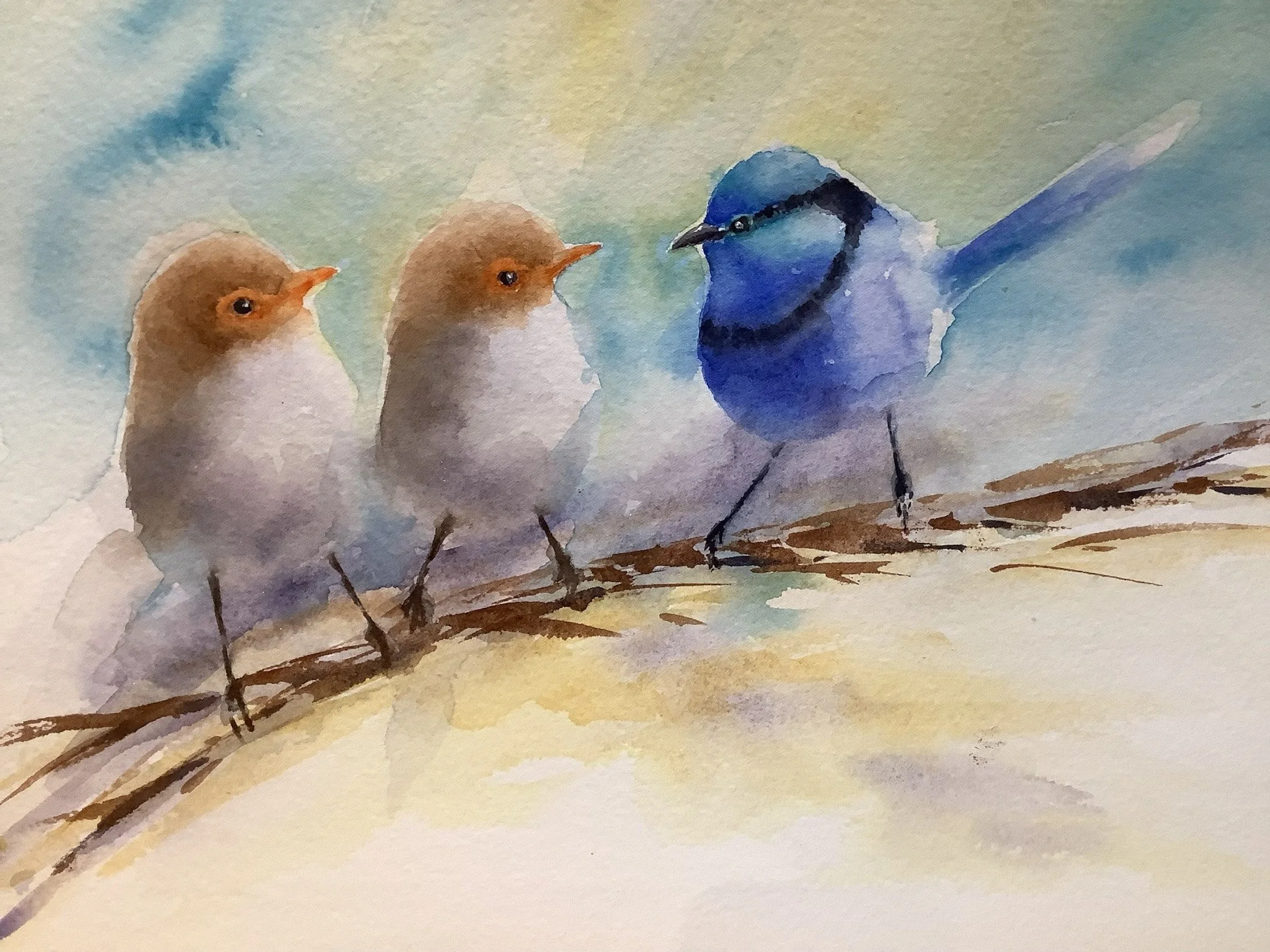 Watercolor painting of two small brown birds with orange beaks looking at a larger blue bird with black markings on a branch.