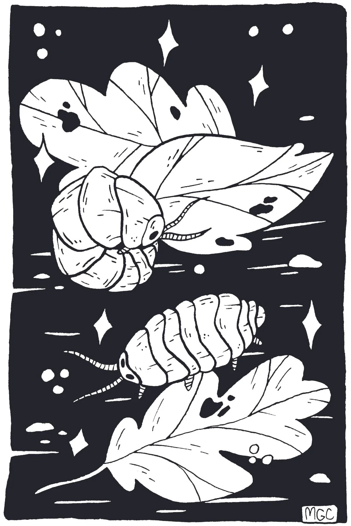 Pill Bugs.jpg