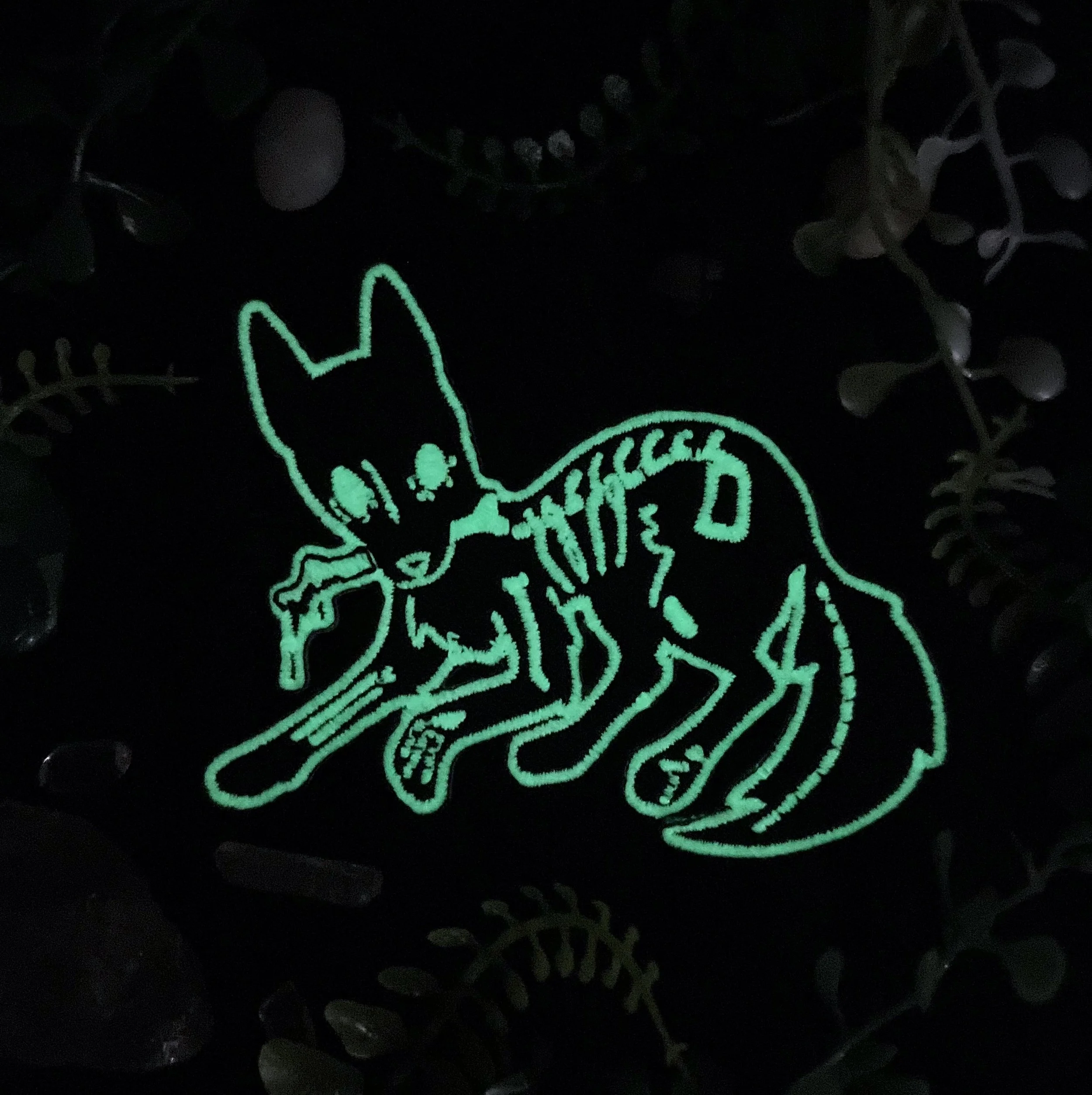 Bones Patch Glow 2.jpg