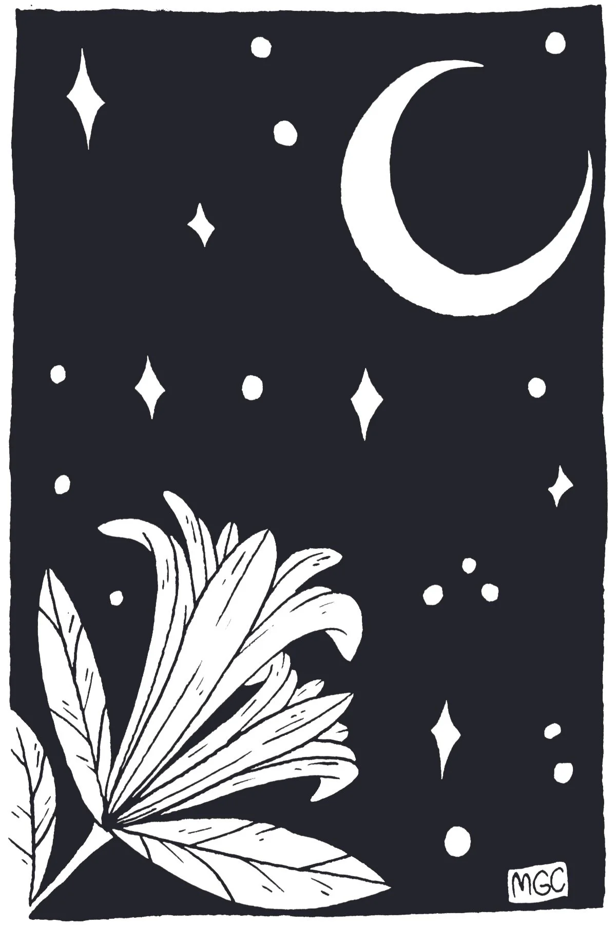 Moonflowers.jpg