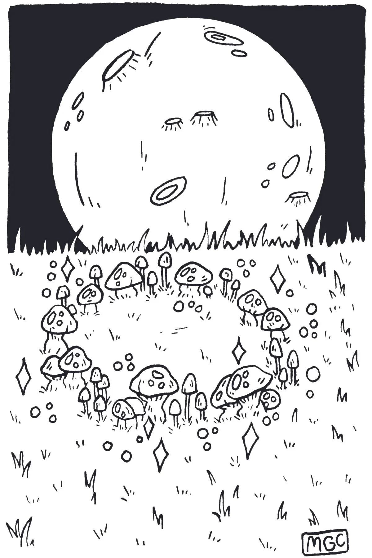 The Fairy Circle.jpg