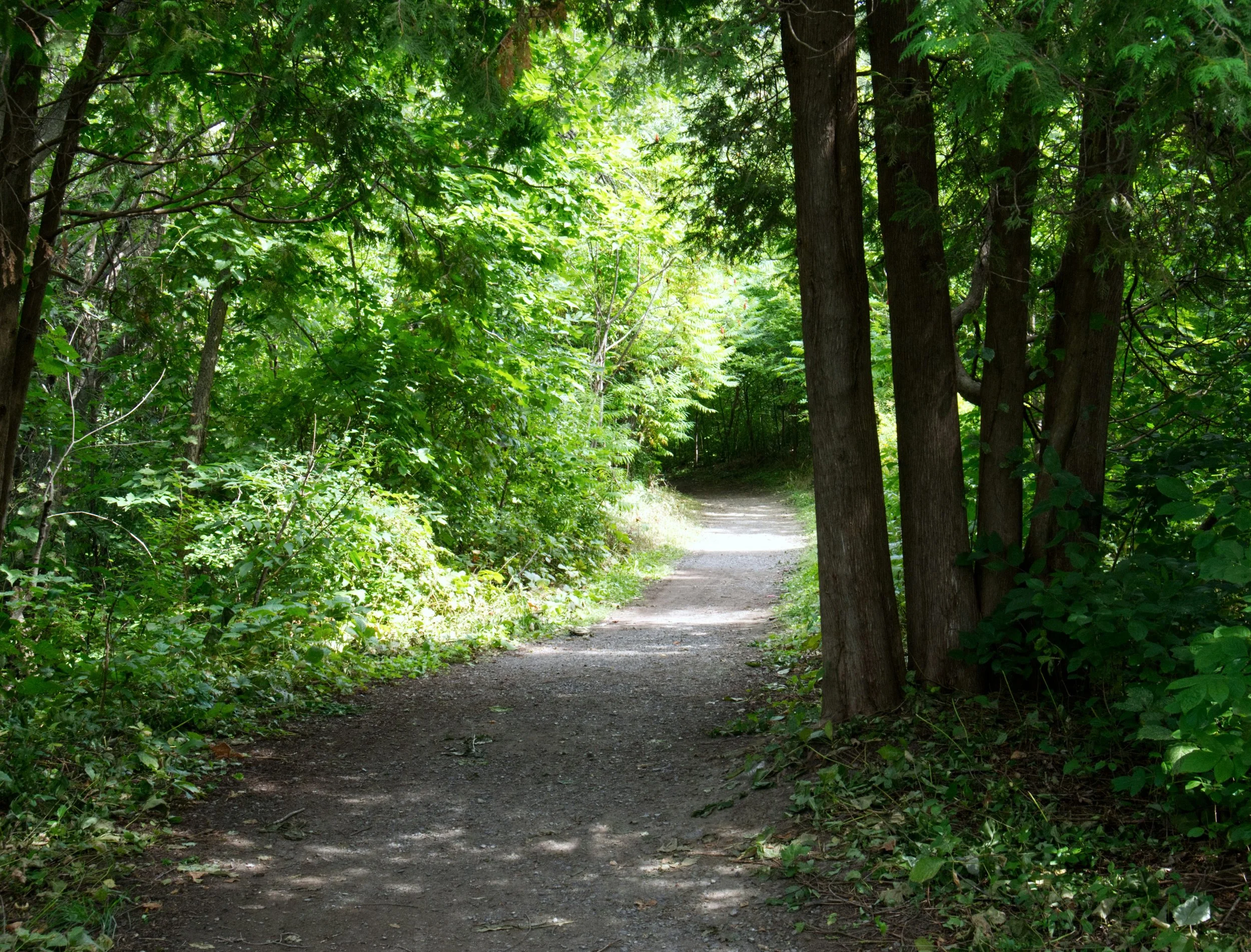 Individual Counselling Therapy Perth Wembley