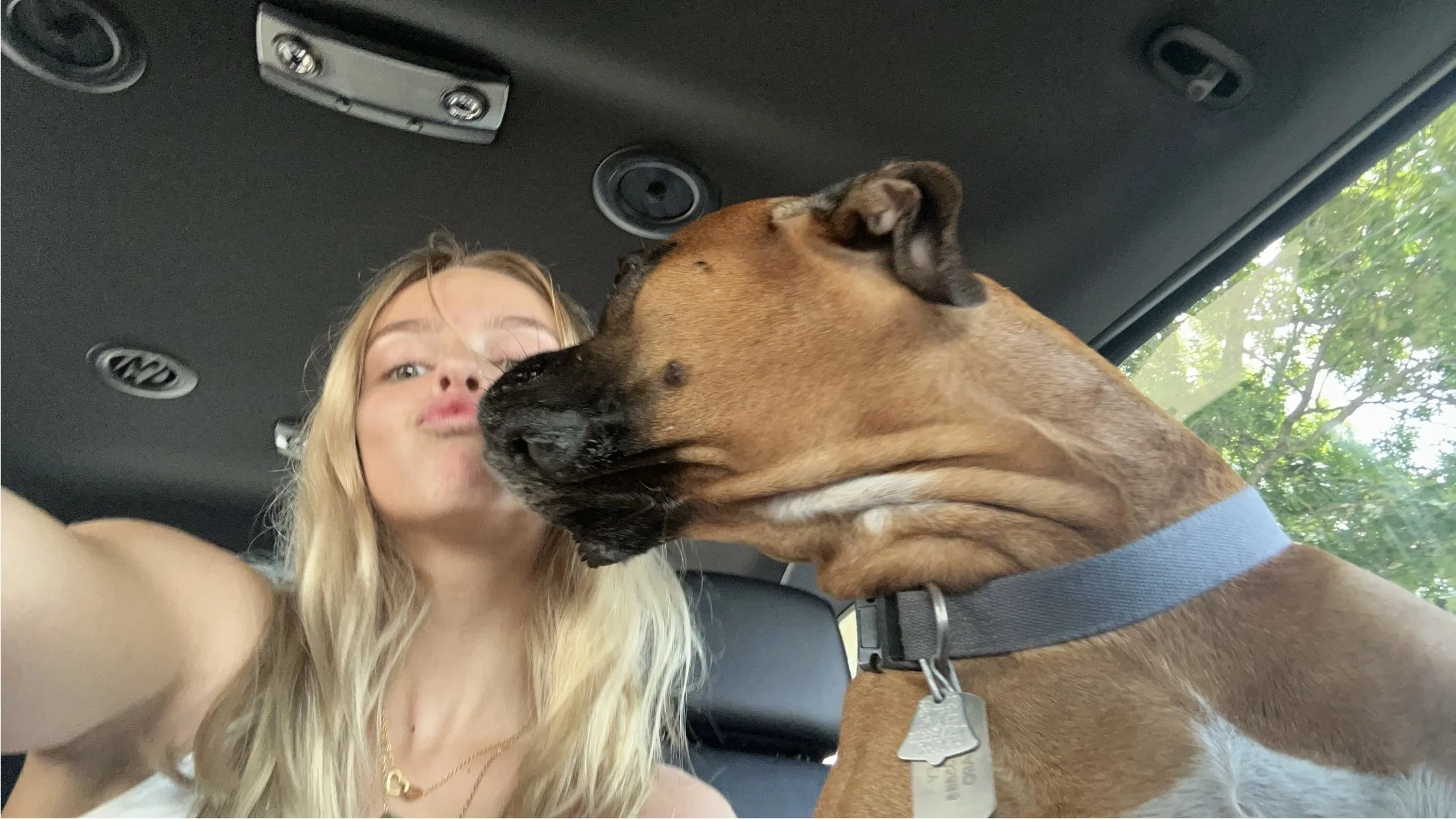 A young woman with long blonde hair taking a selfie with a large brown dog inside a vehicle. The woman is puckering her lips and the dog, wearing a blue collar, is leaning in close to her with its face near hers.