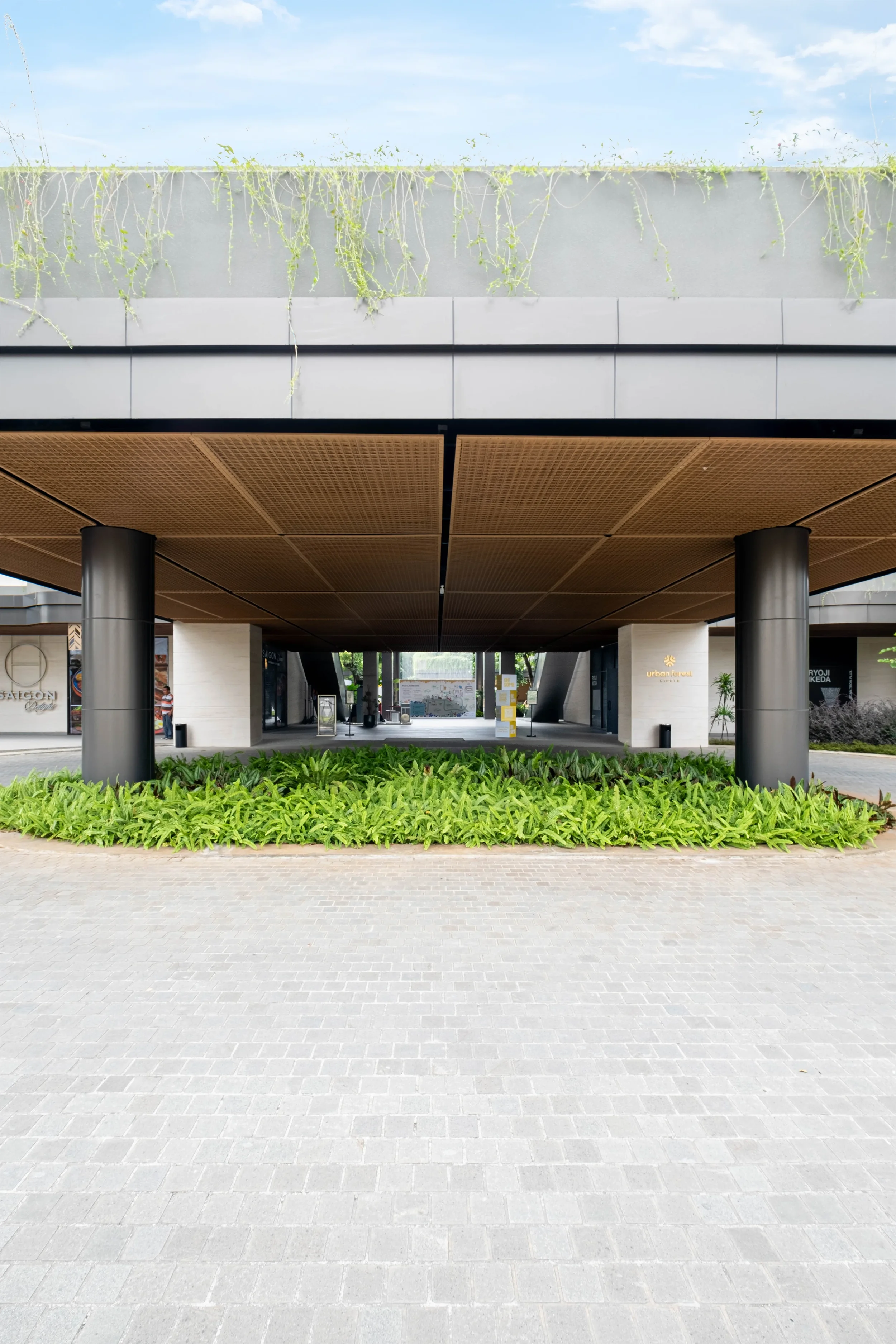 DSCF9611-HDR copy.webp