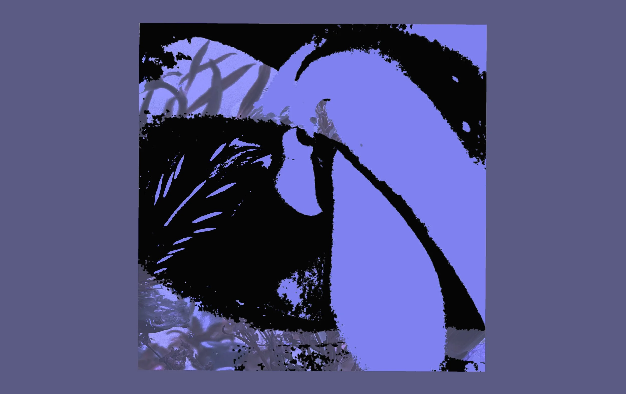 Creativity & Concept Development