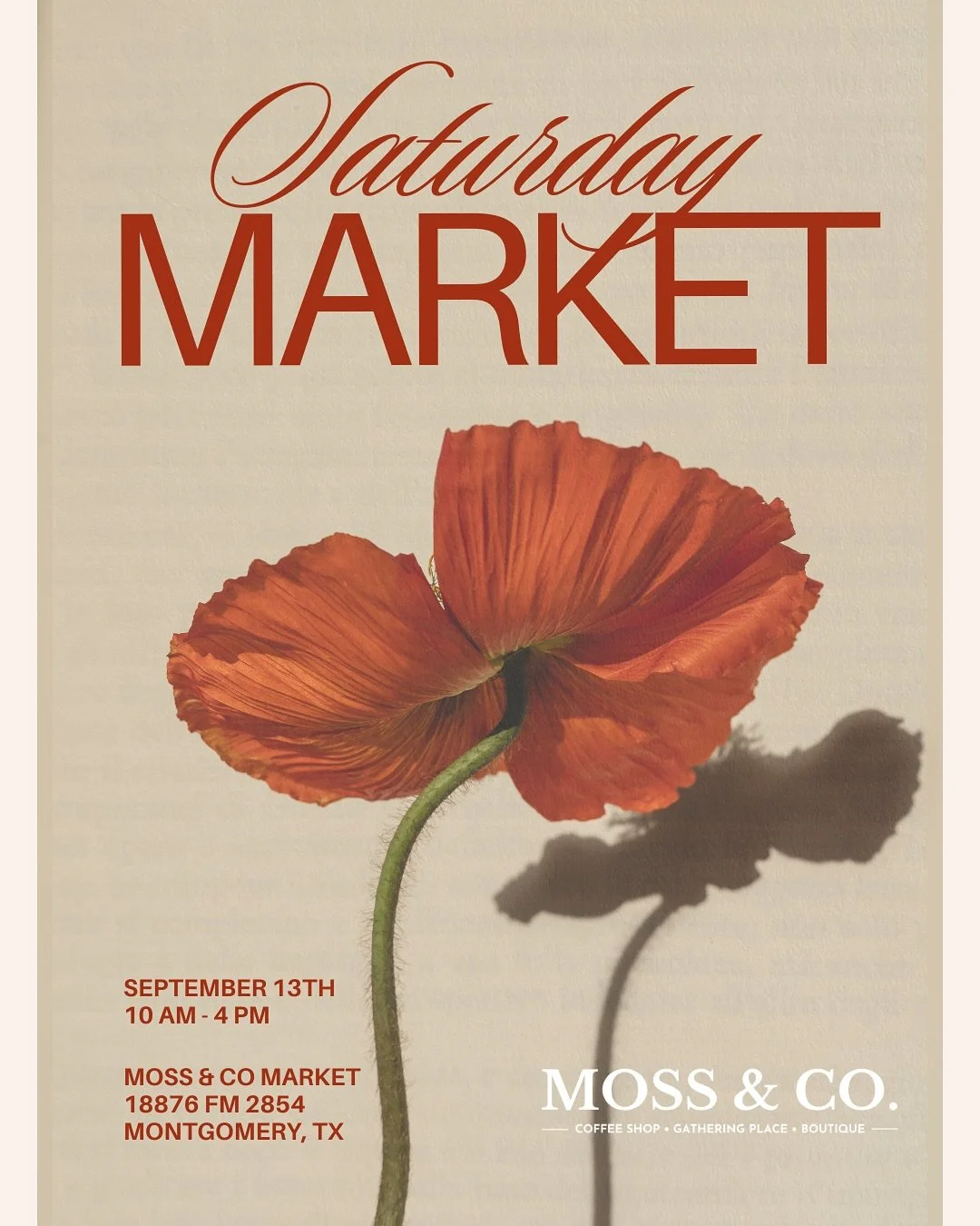 ✨ Join us for another Market at Moss & Co! ✨
📍 Saturday, September 13th
🕙 10 AM – 4 PM
Vendors include:
•Handcrafted wood pieces - @the_cubbyhole_woodshop
•Reformer pilates studio - @clubpilateswoodforest
•Exterior clea