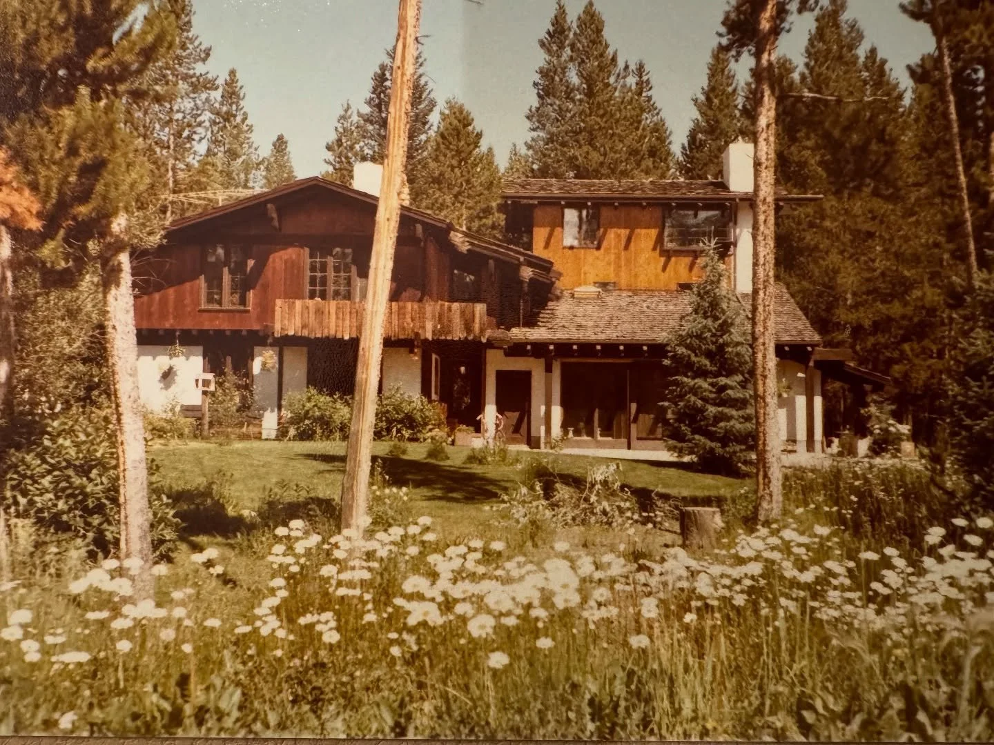 This was my favorite childhood home. I literally dream about it often. It had a creek running through the back yard with huge flat boulders in the middle of it where I would lay and daydream for hours. It looked like it was straight out of the Alps,