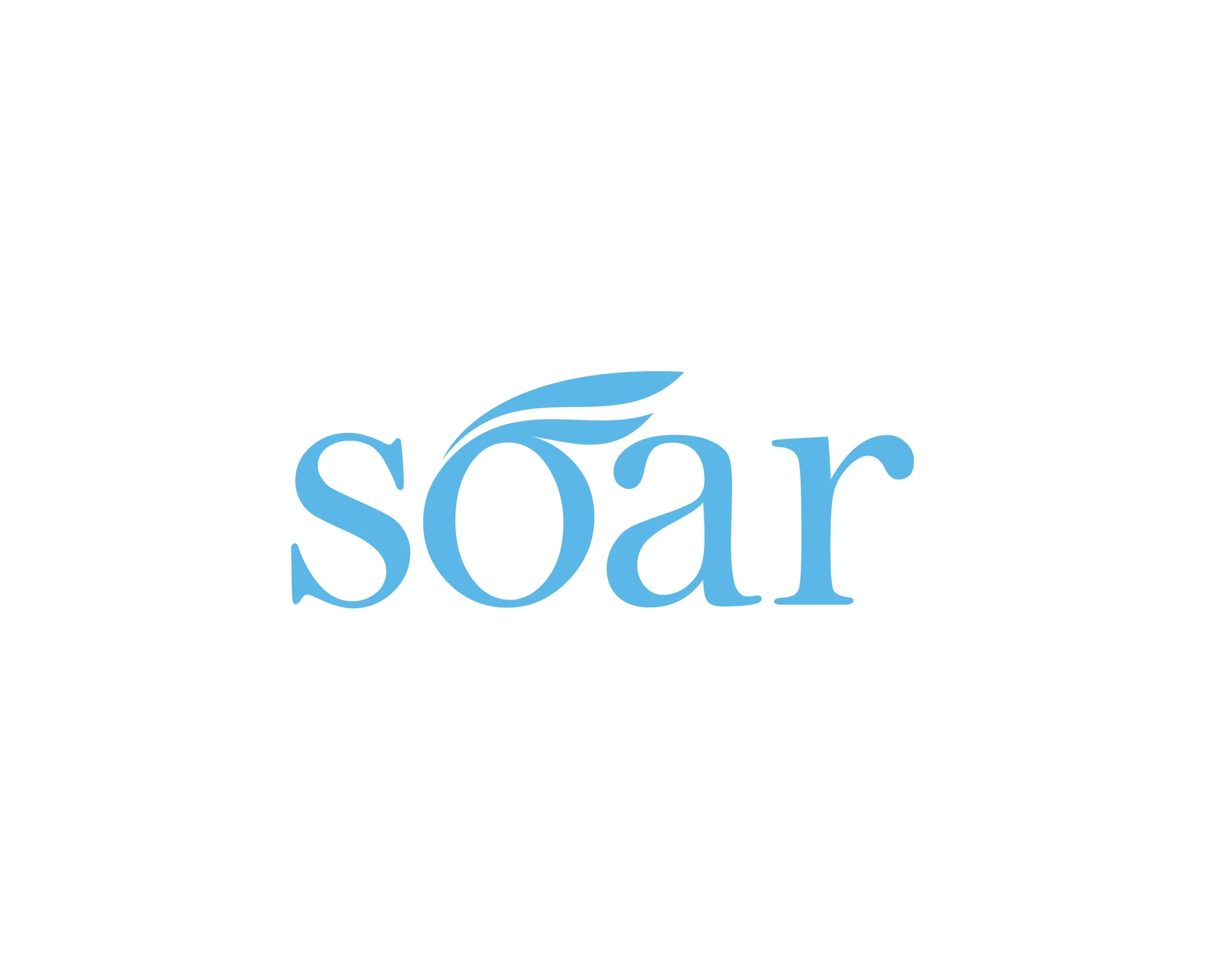 Logo for Baker Tilly's internal program SOAR