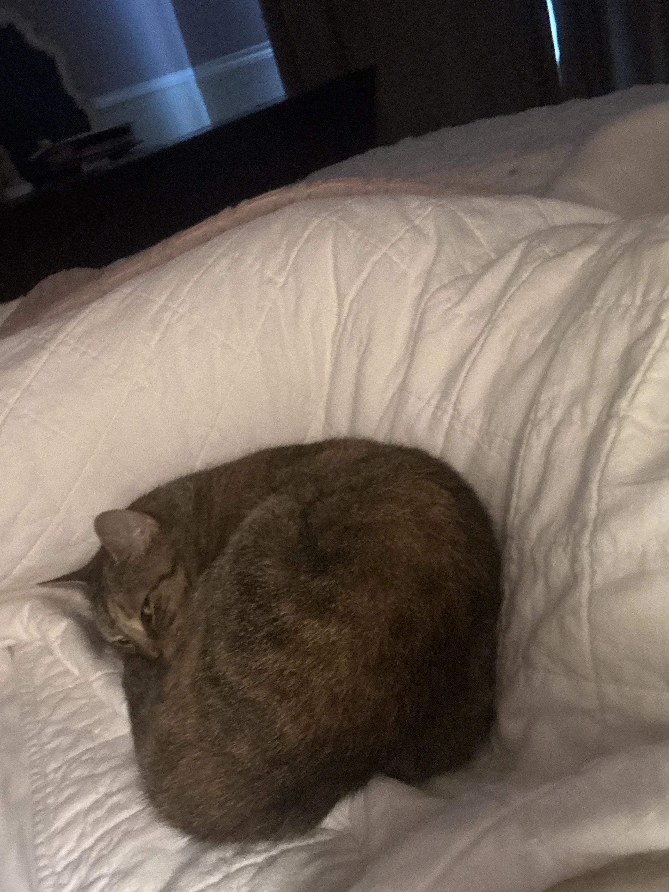 Mornings, Barbara-Style