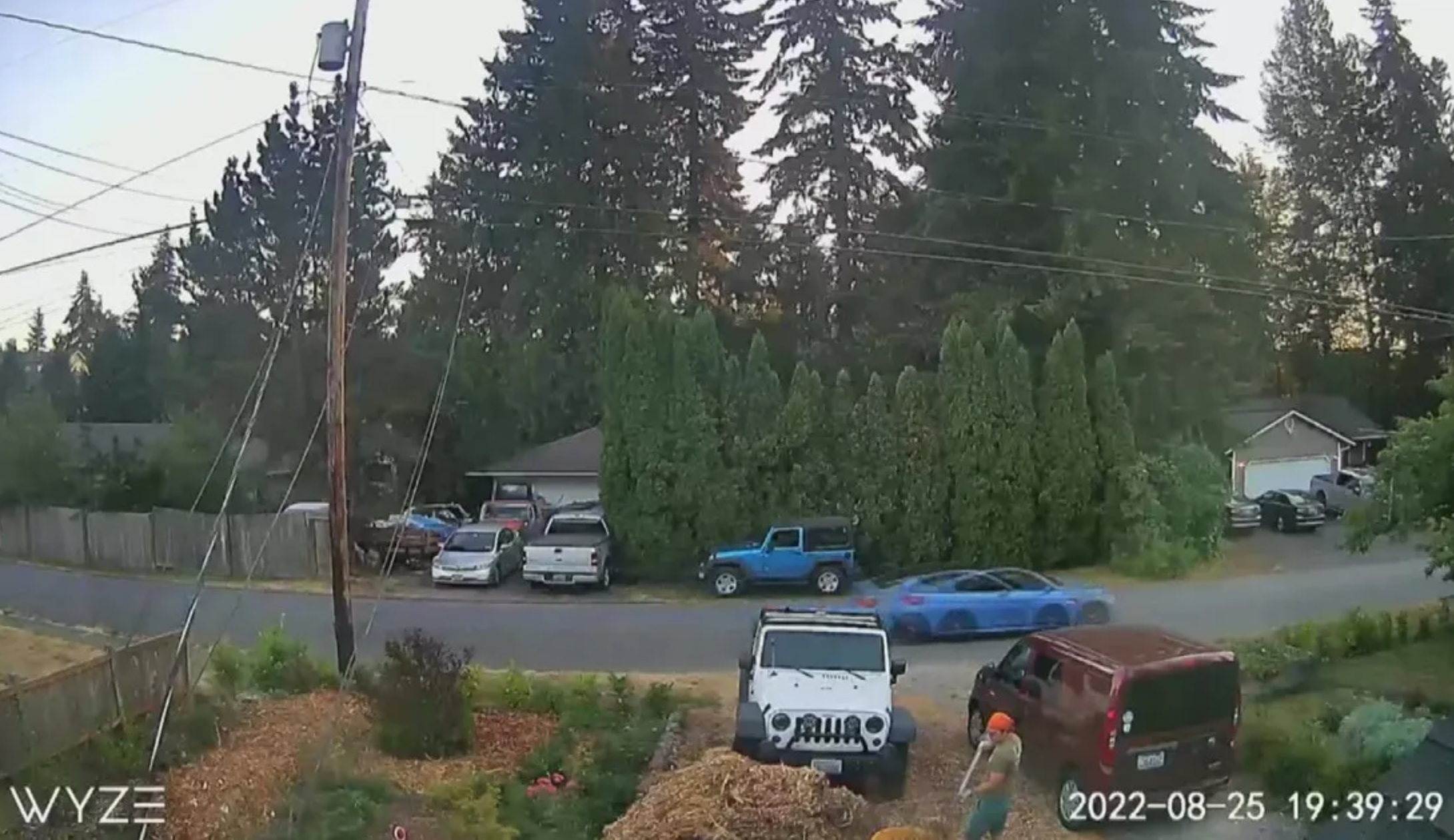 Article Pic Luis.PNG