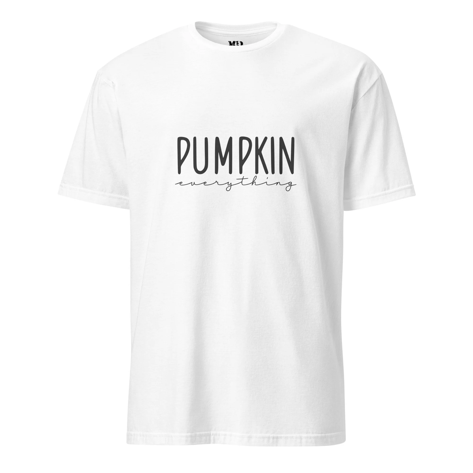 PUMPKIN EVERYTHING_WHITE.jpg