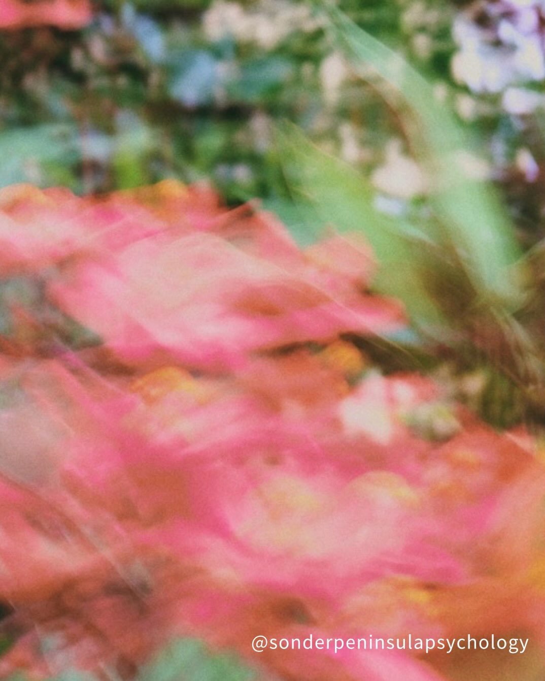 The seasons are changing. So are we. Swipe through to see what growth can actually look like, I wonder if you recognise any occurring for you? 

#morningtonpsychologist #therapy #morningtonpeninsula #mentalhealth