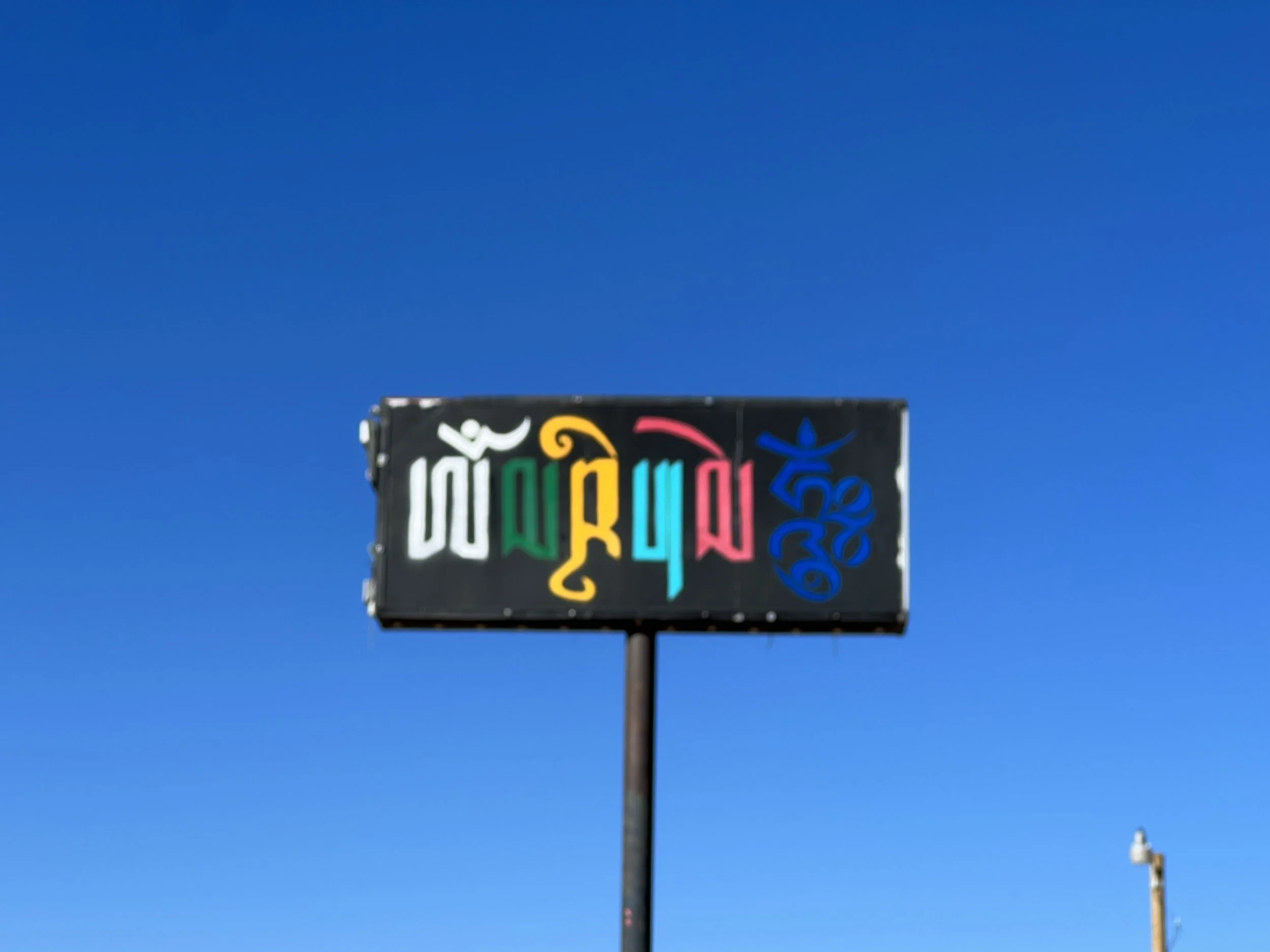 IMG_4184.jpeg