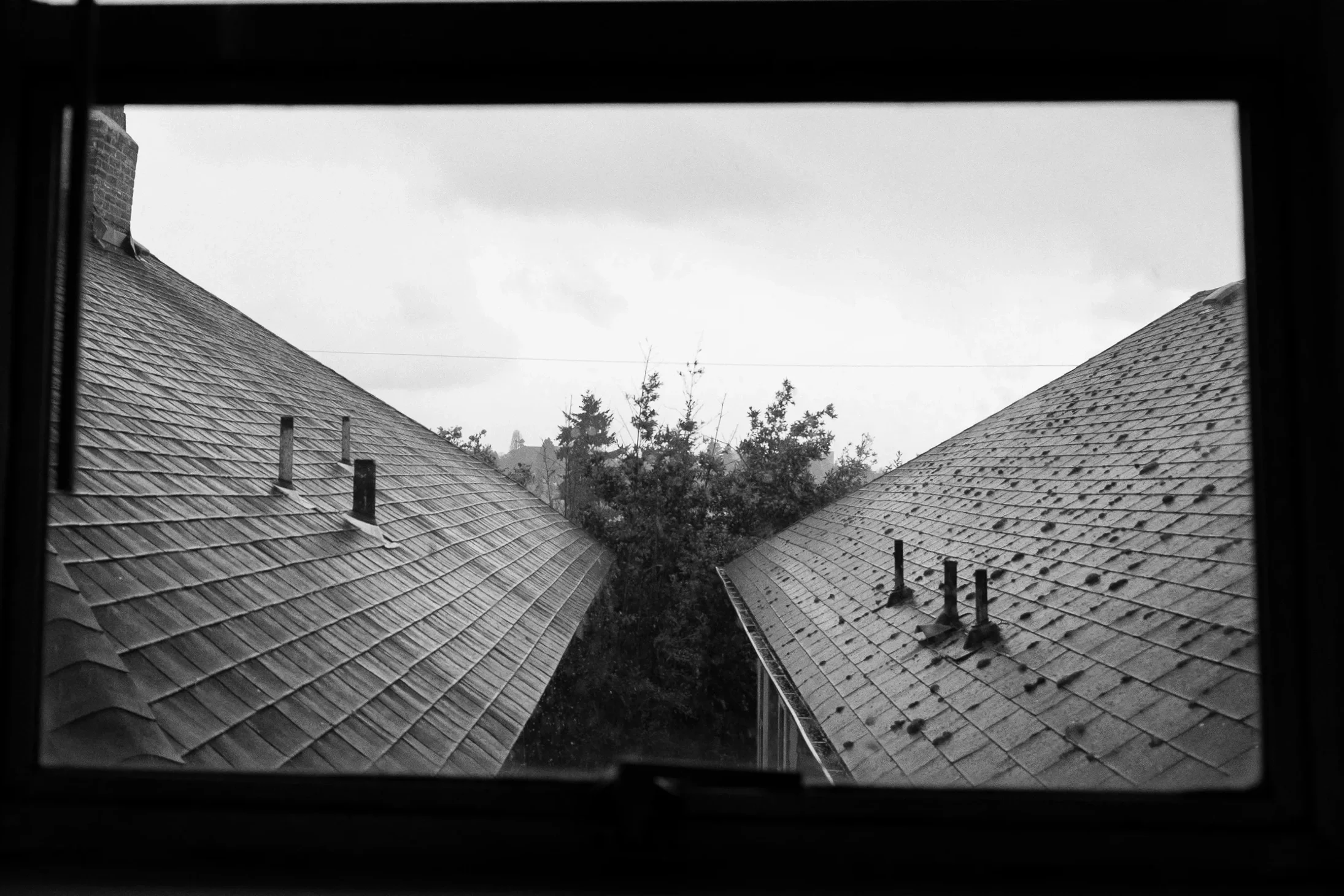 DSCF3982.webp