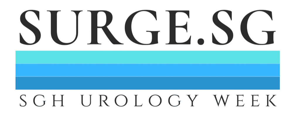 SURGE 2026