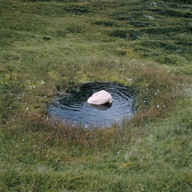 Nature as the Muse of Art