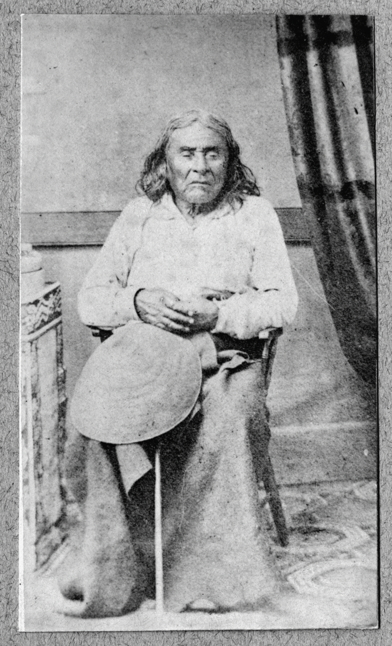 The letter that Chief Seattle sent to the President of the United States in 1854