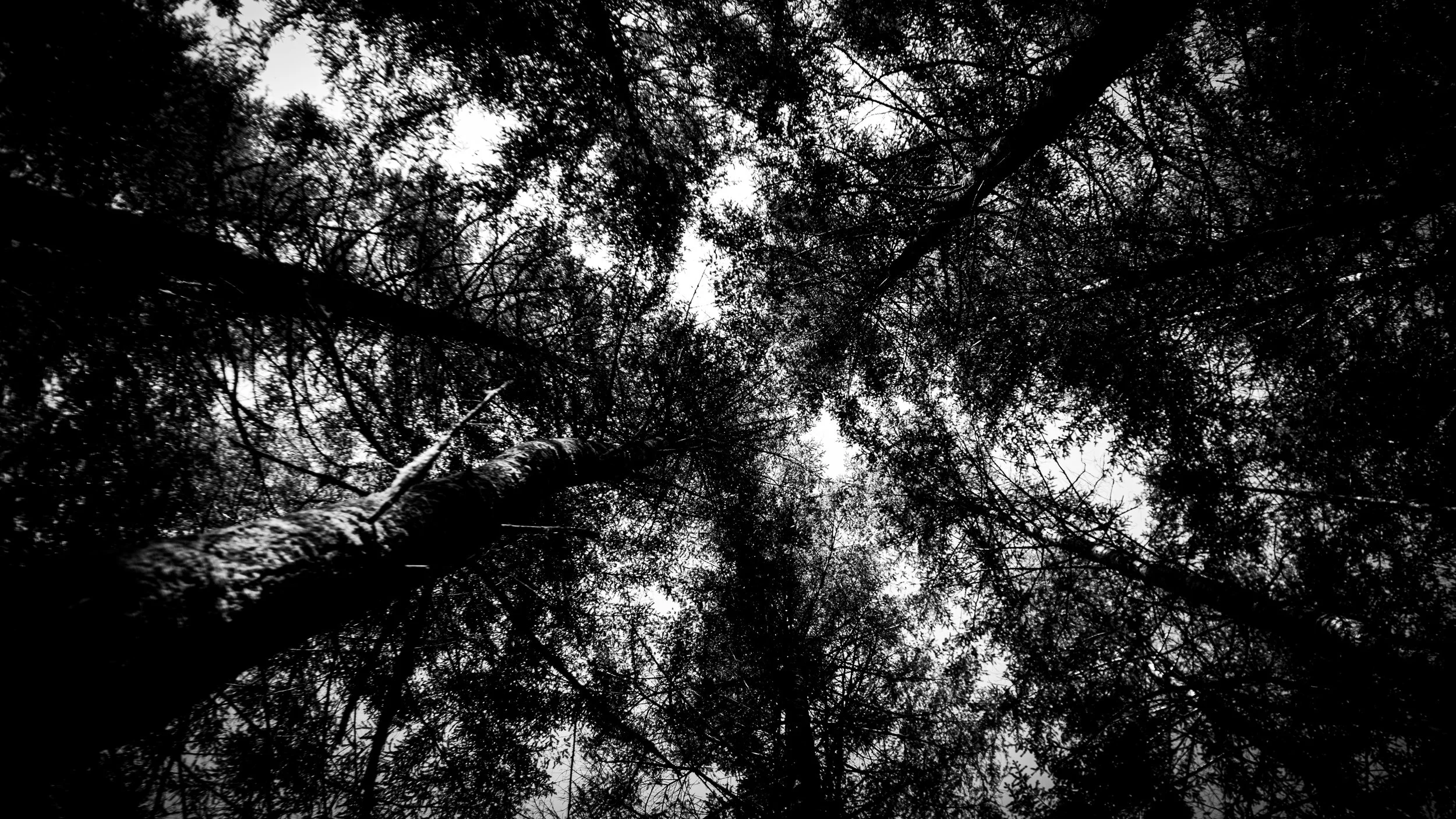 Rally 4-13-25-12.jpg