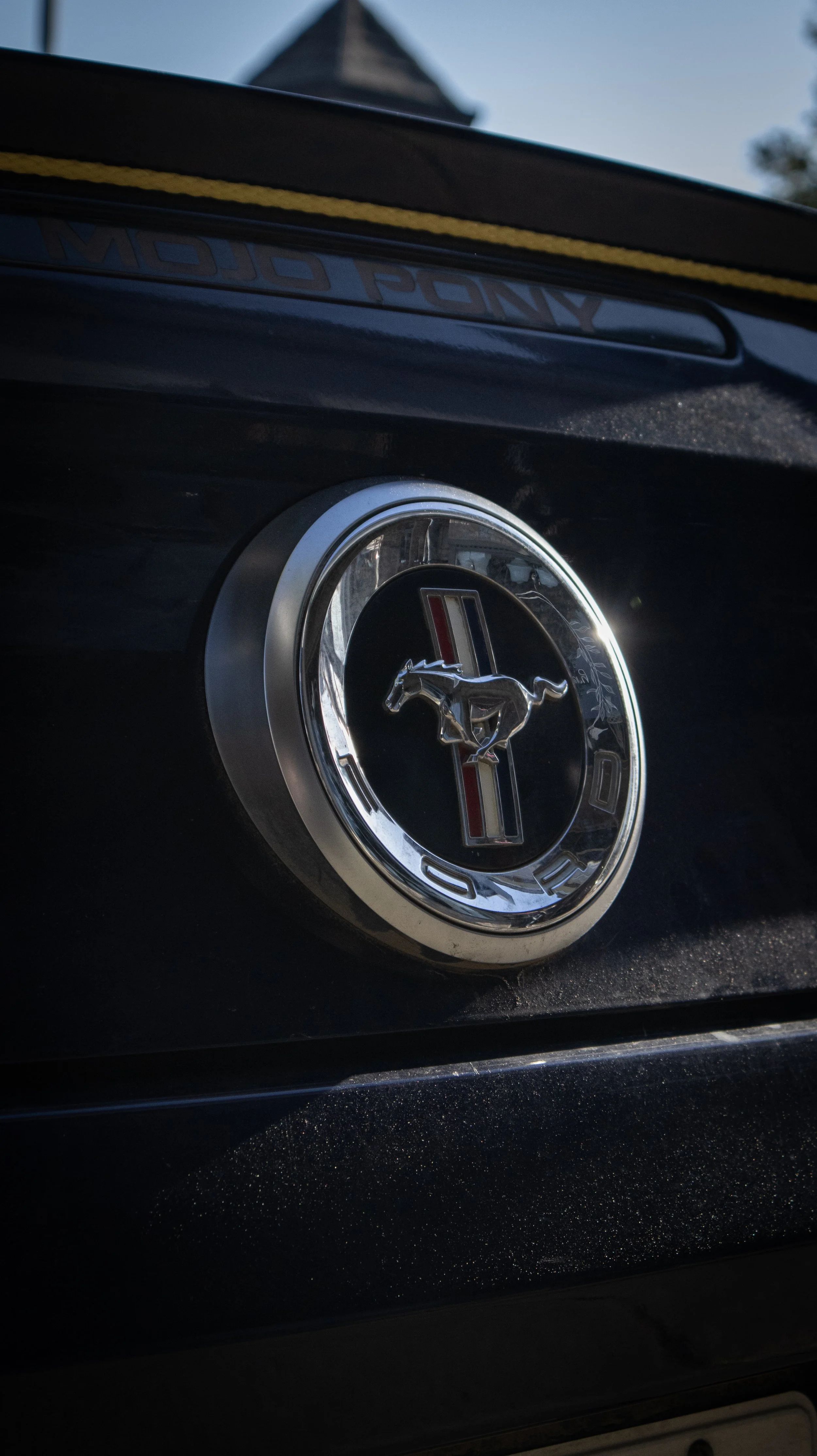 Rally Race 4-20-24-70.jpg