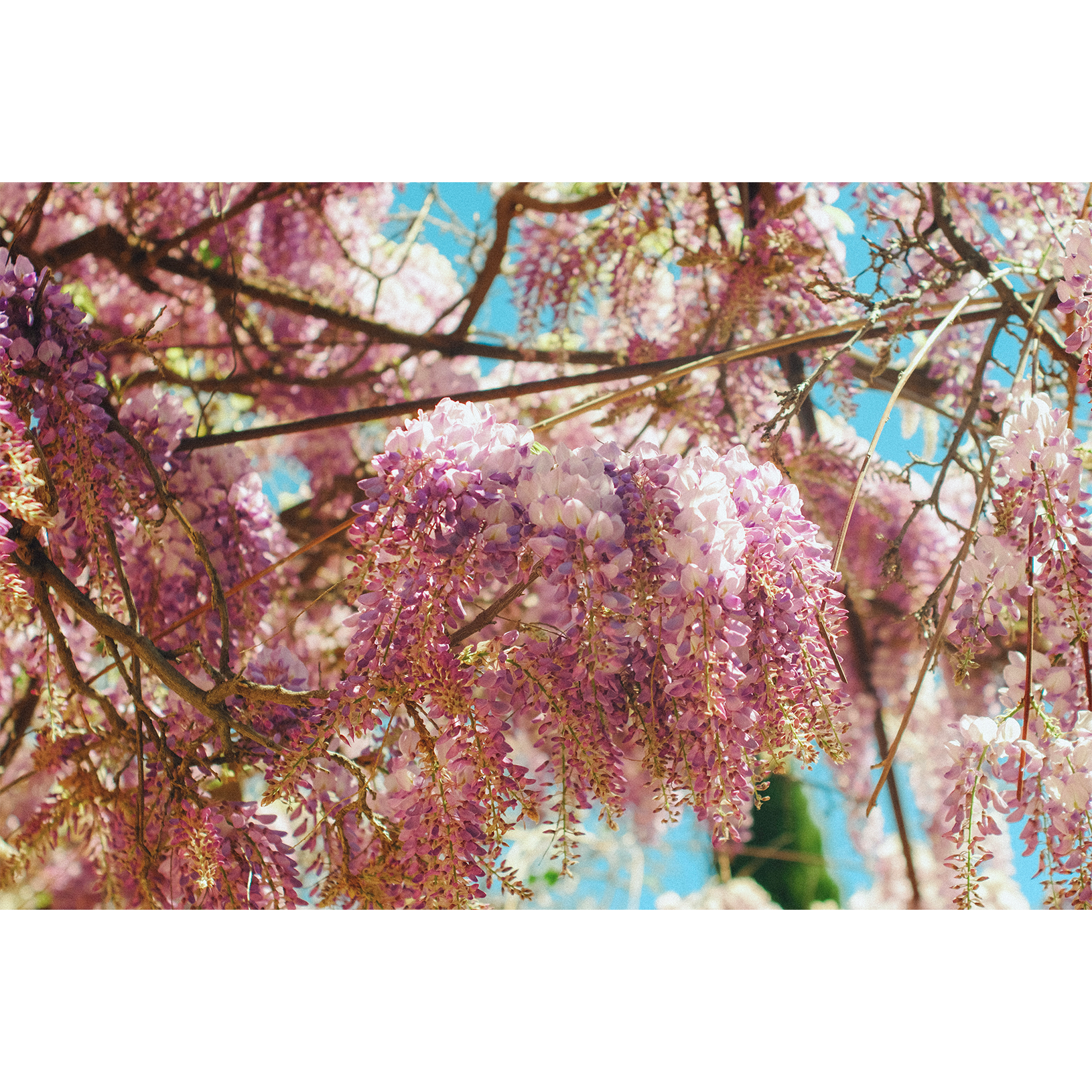 Hysteria, Mysteria, Wysteria 01