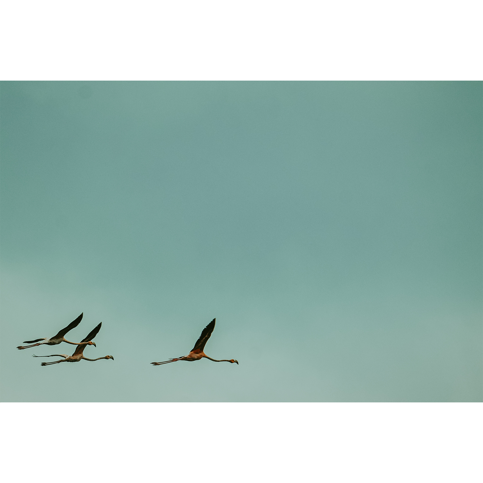 El Mejor Lugar Del Mundo 03