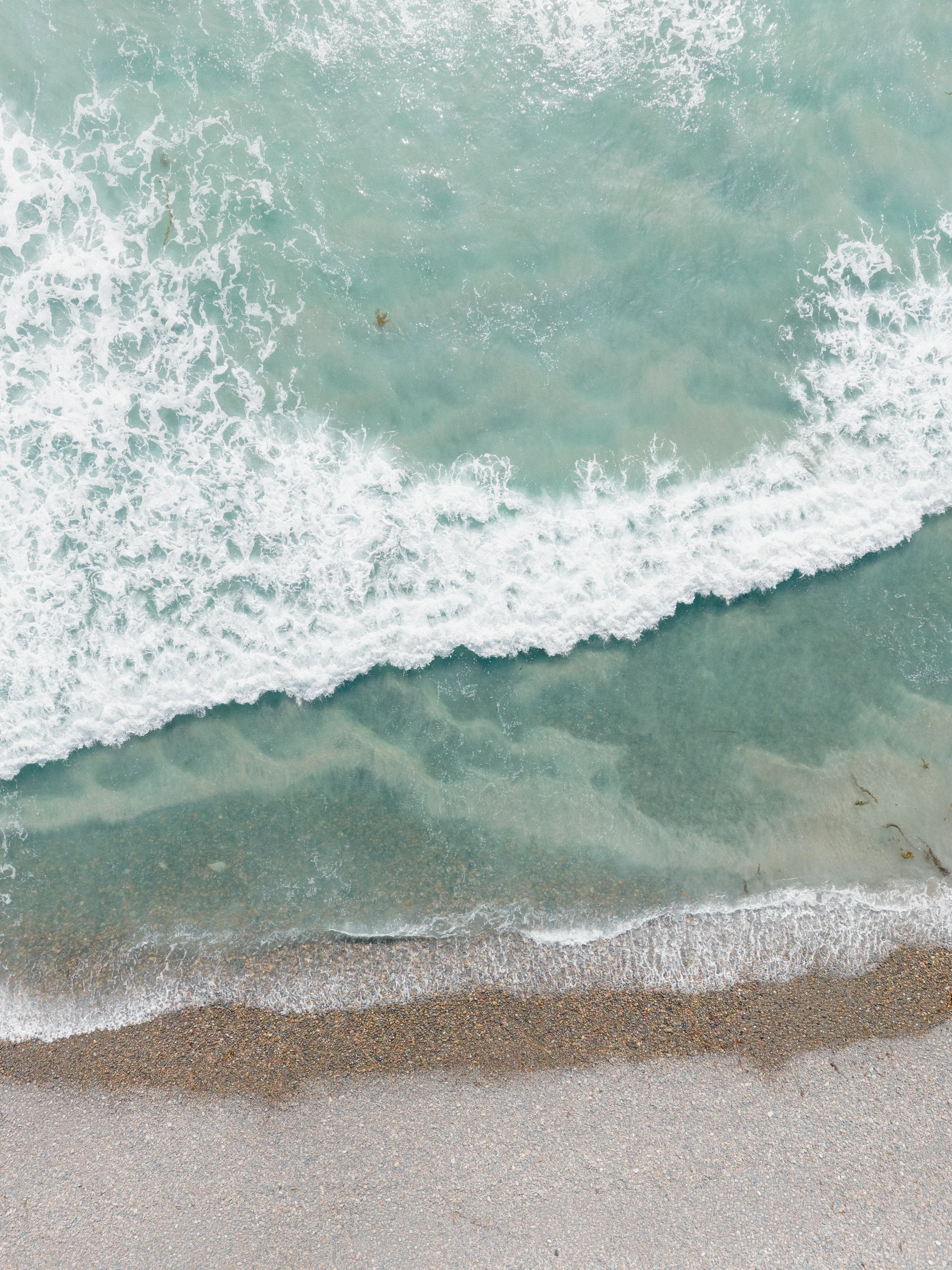 ocean landscape at Alila Marea wedding, Encinitas, California