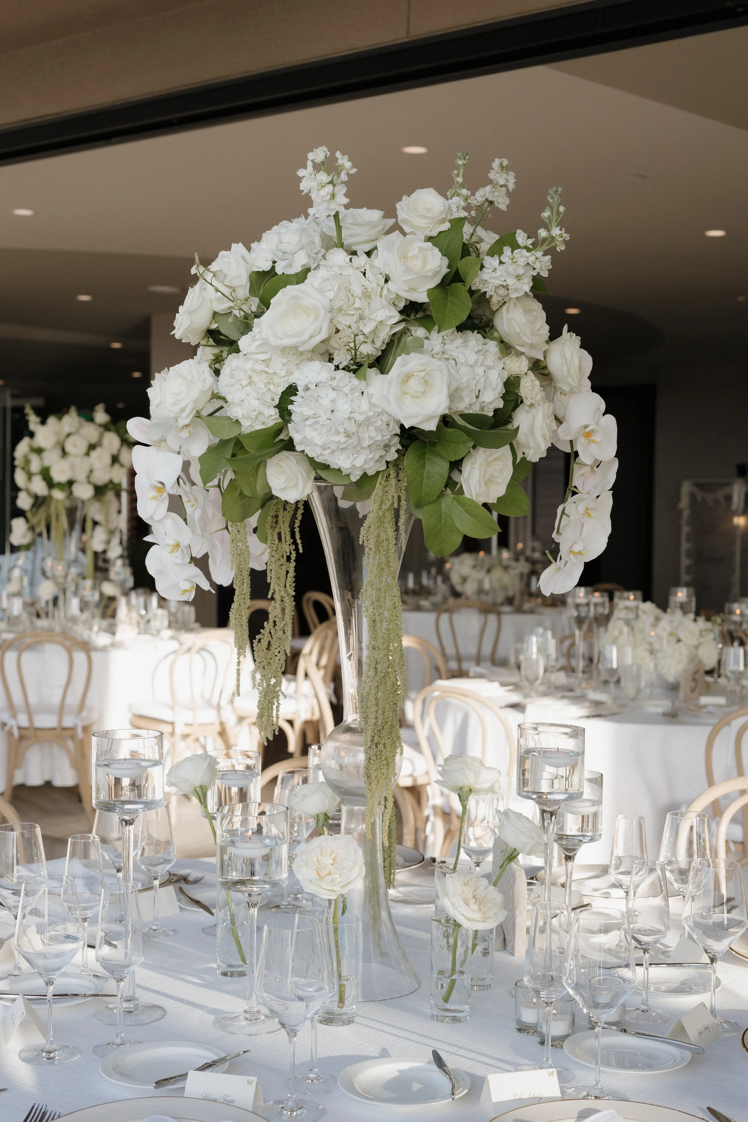 Testa Wedding Alex Christensen Photography-7423.jpg