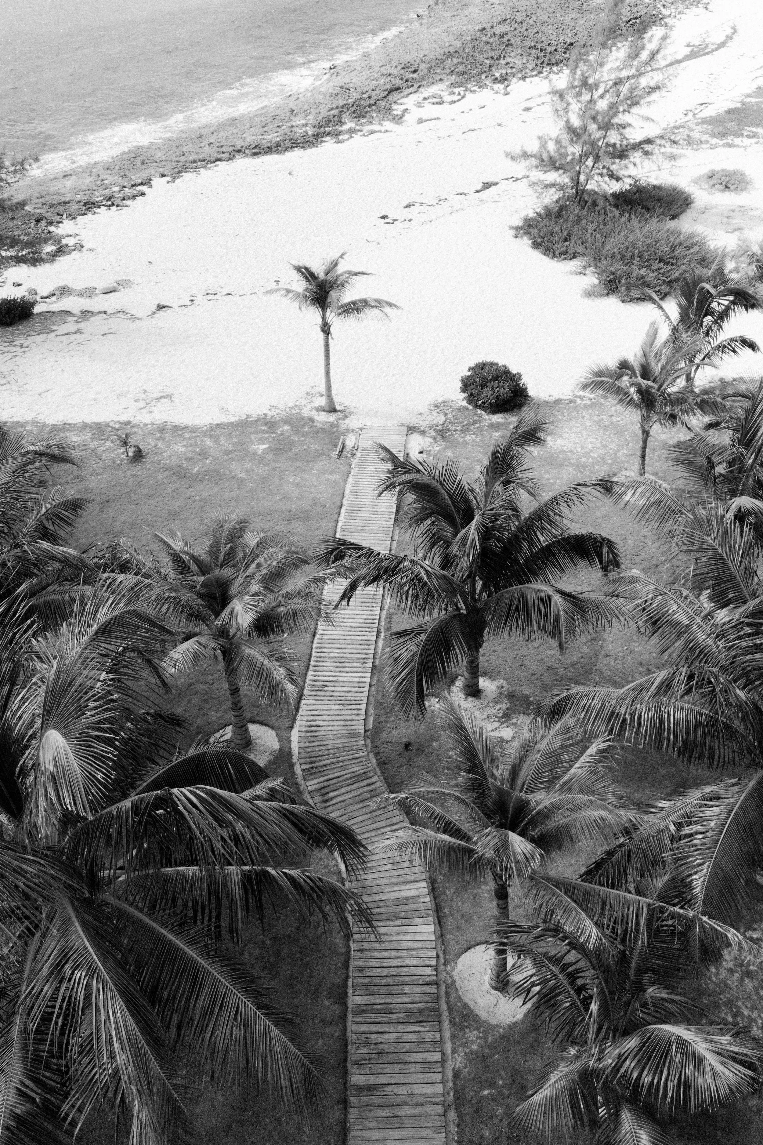 bahamas wedding, florida wedding photographer