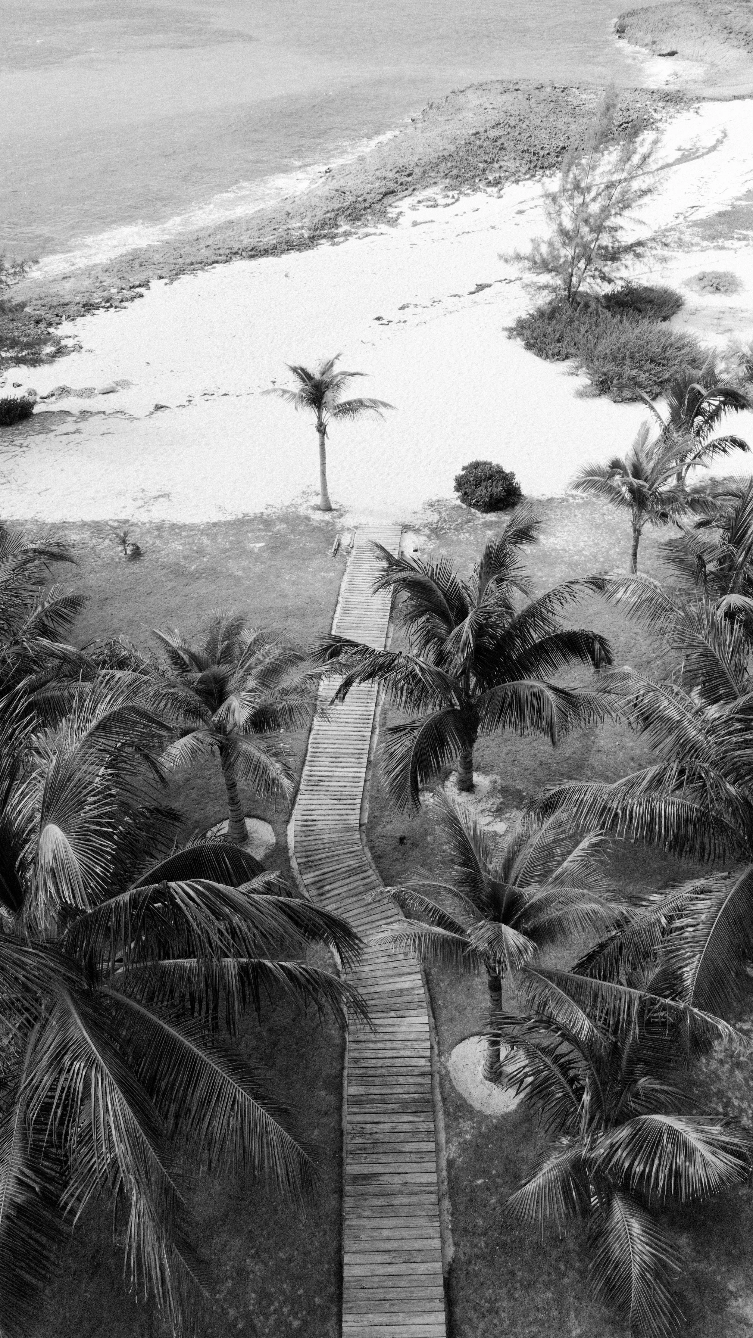 tropical wedding details, tropical wedding inspiration