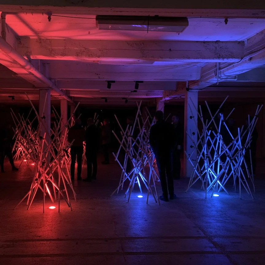 mycellium space 13.jpg