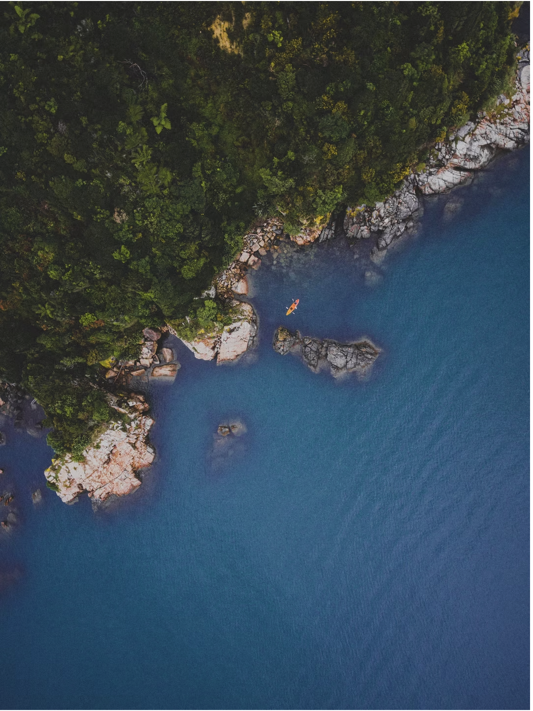 Screenshot 2026-03-16 at 3.10.31 PM.png