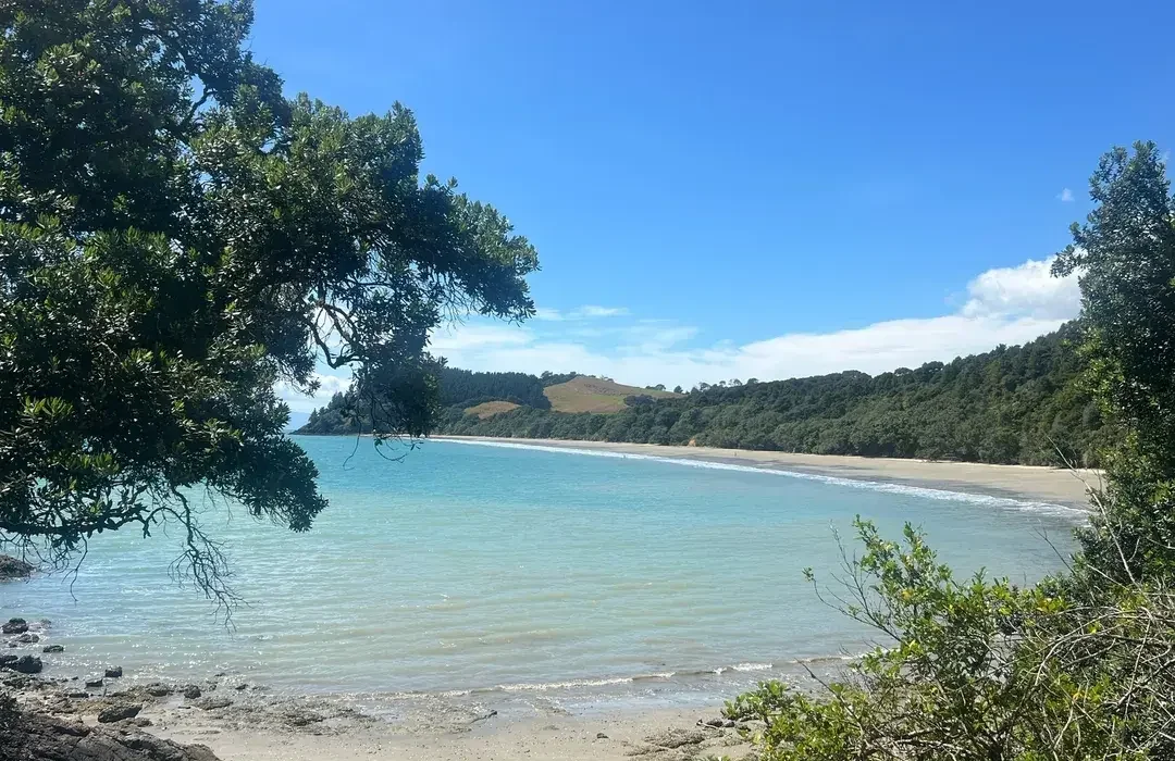 Tawhitokino Beach Path.webp