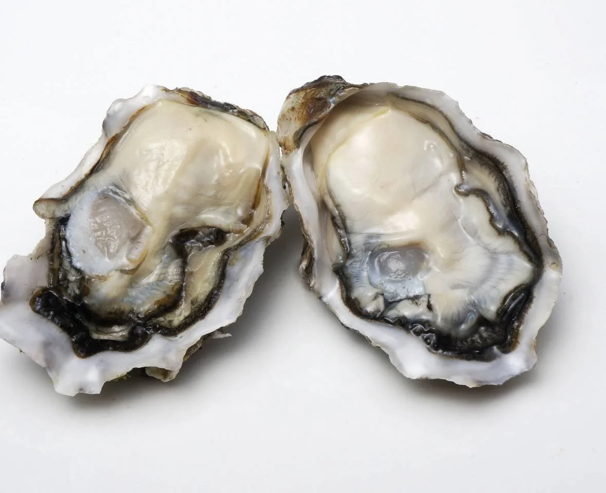 oysters.jpg