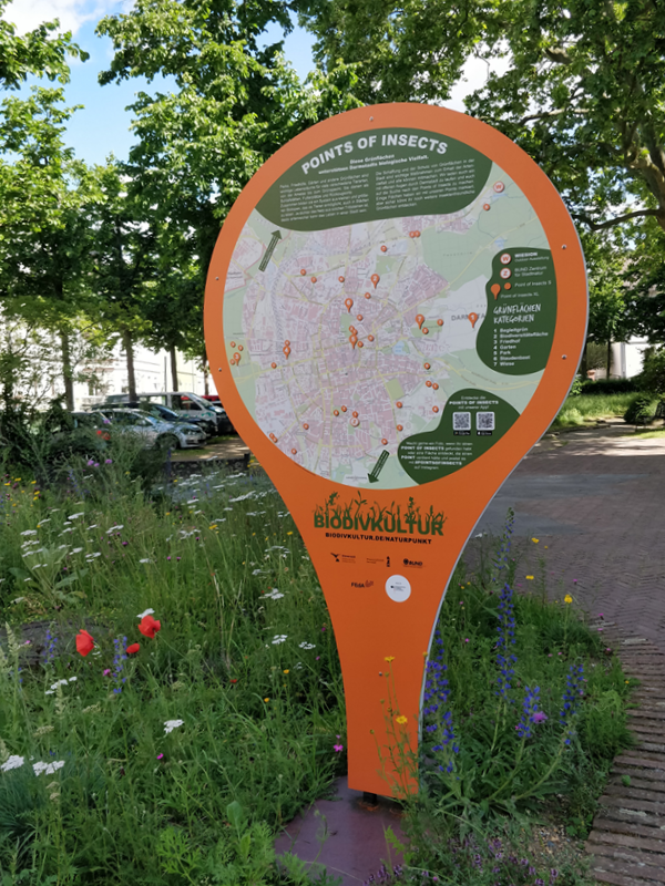 Rückseite XL-Point am Schlossgartenplatz