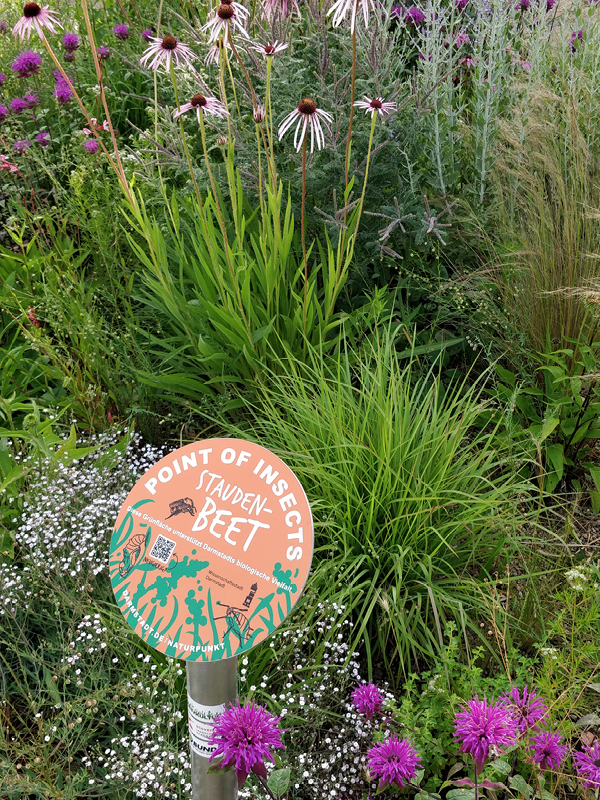 S-Point an der Haltestelle Friedhof in Darmstadt-Eberstadt