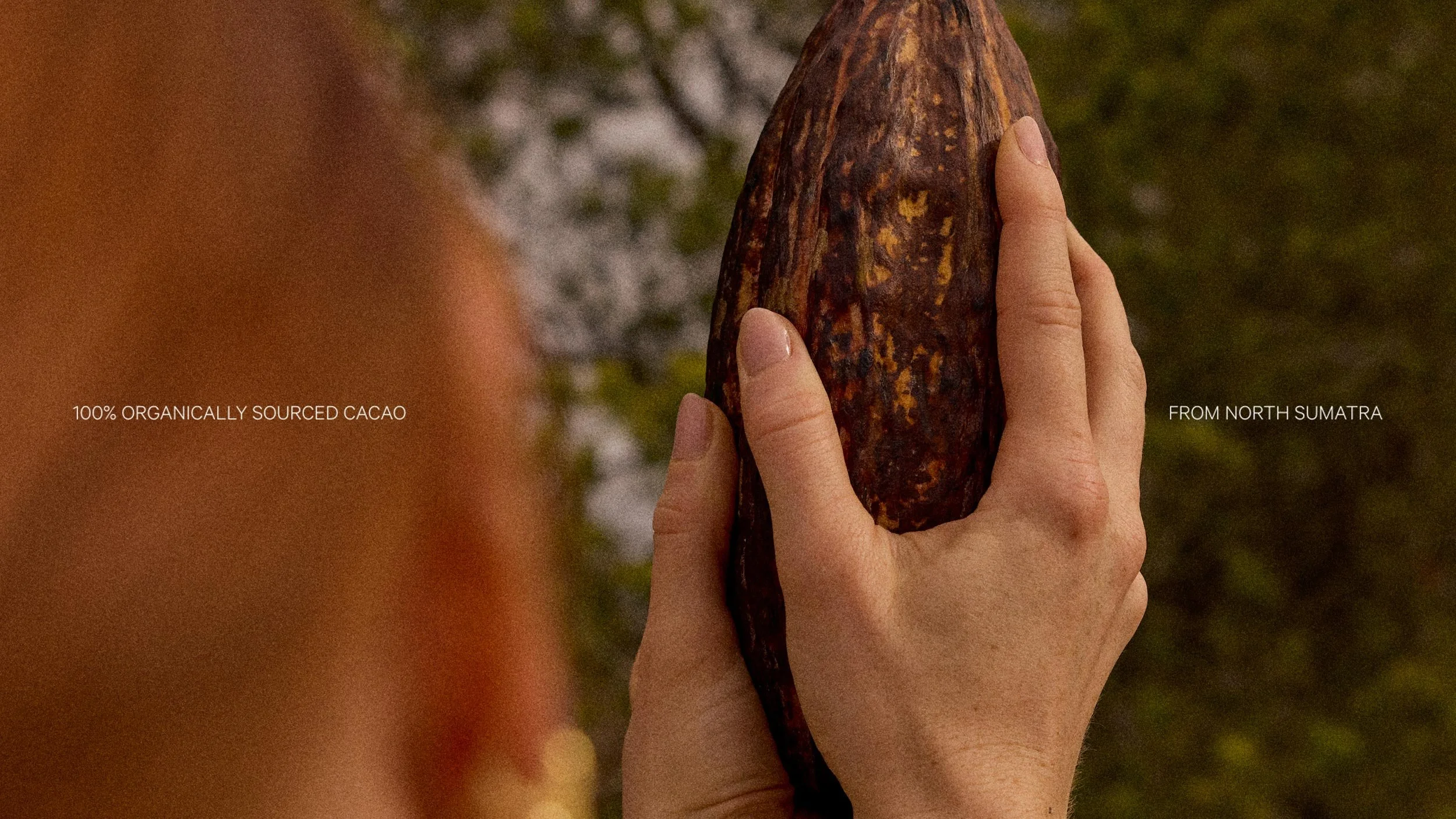 Nurturing-Cacao_PDP_Sourcing_001.jpg