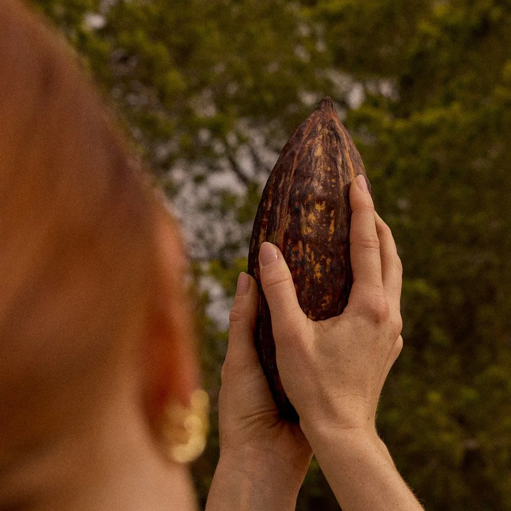Nurturing-Cacao_Photo_Cocoa-Bean_001