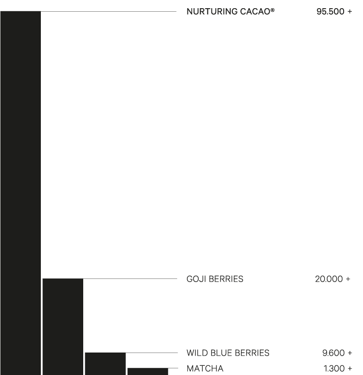 NC_Antioxidant-Scale_Graphic.png